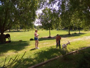 IMG_20180720_120034