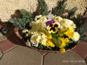 IMG_20181030_092847